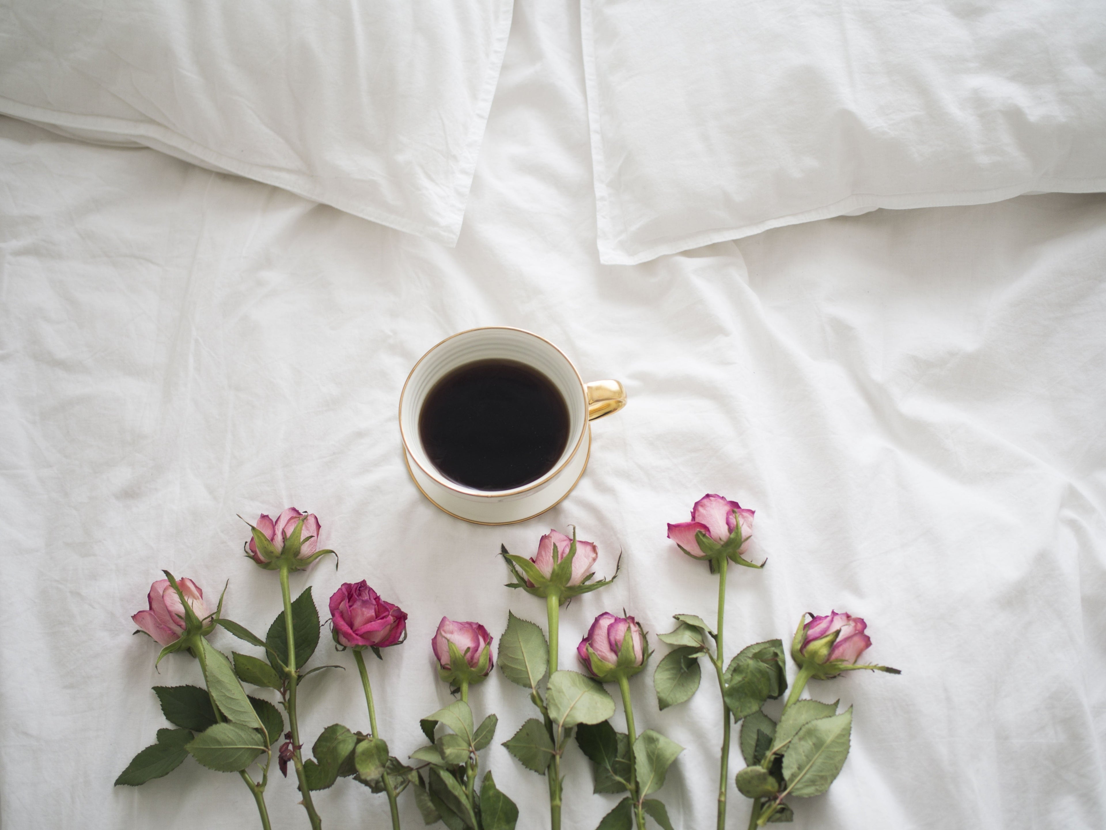 Stillness & Sleep Support