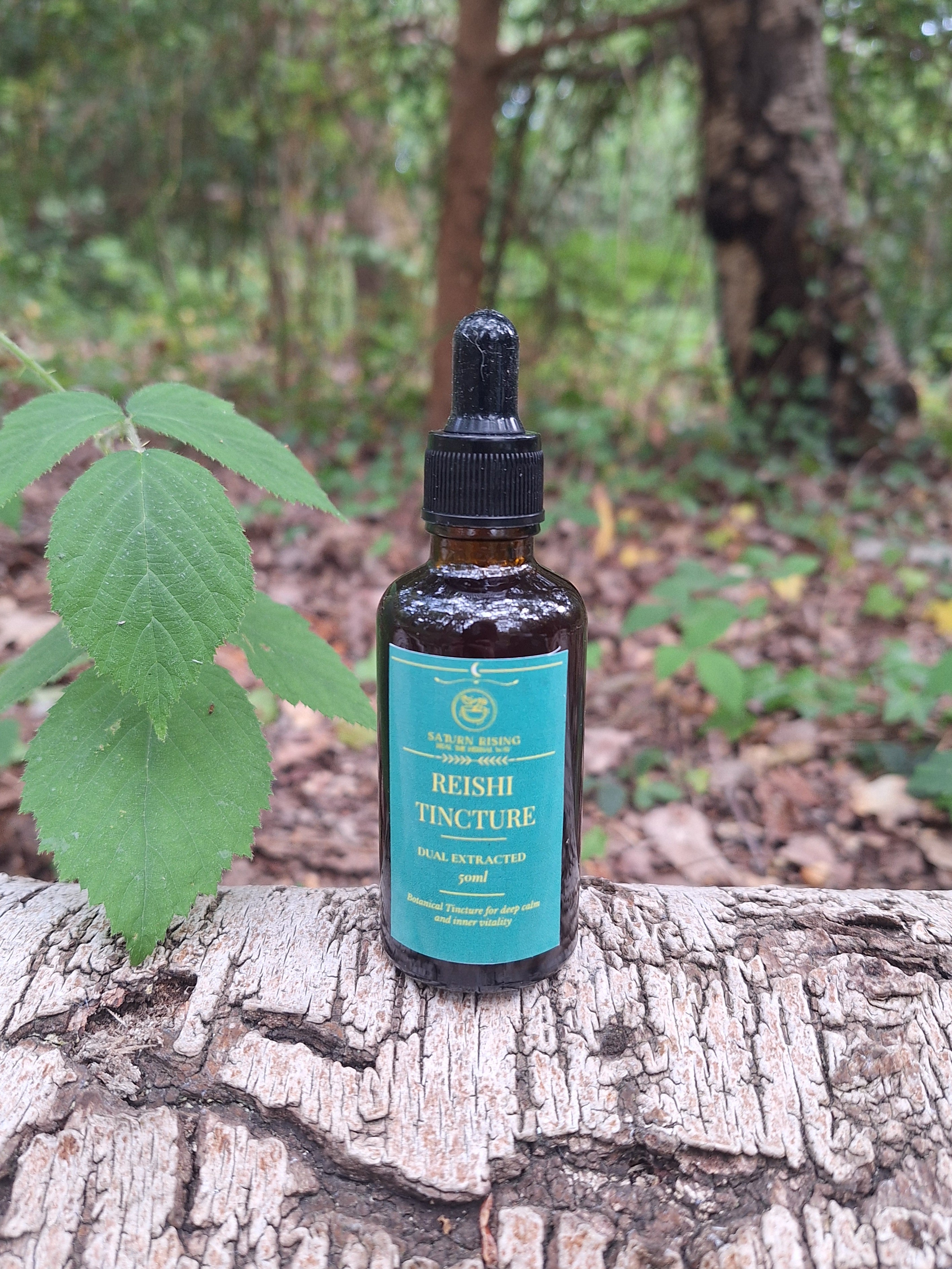 Reishi Tincture 50ml - Calm and Restoration