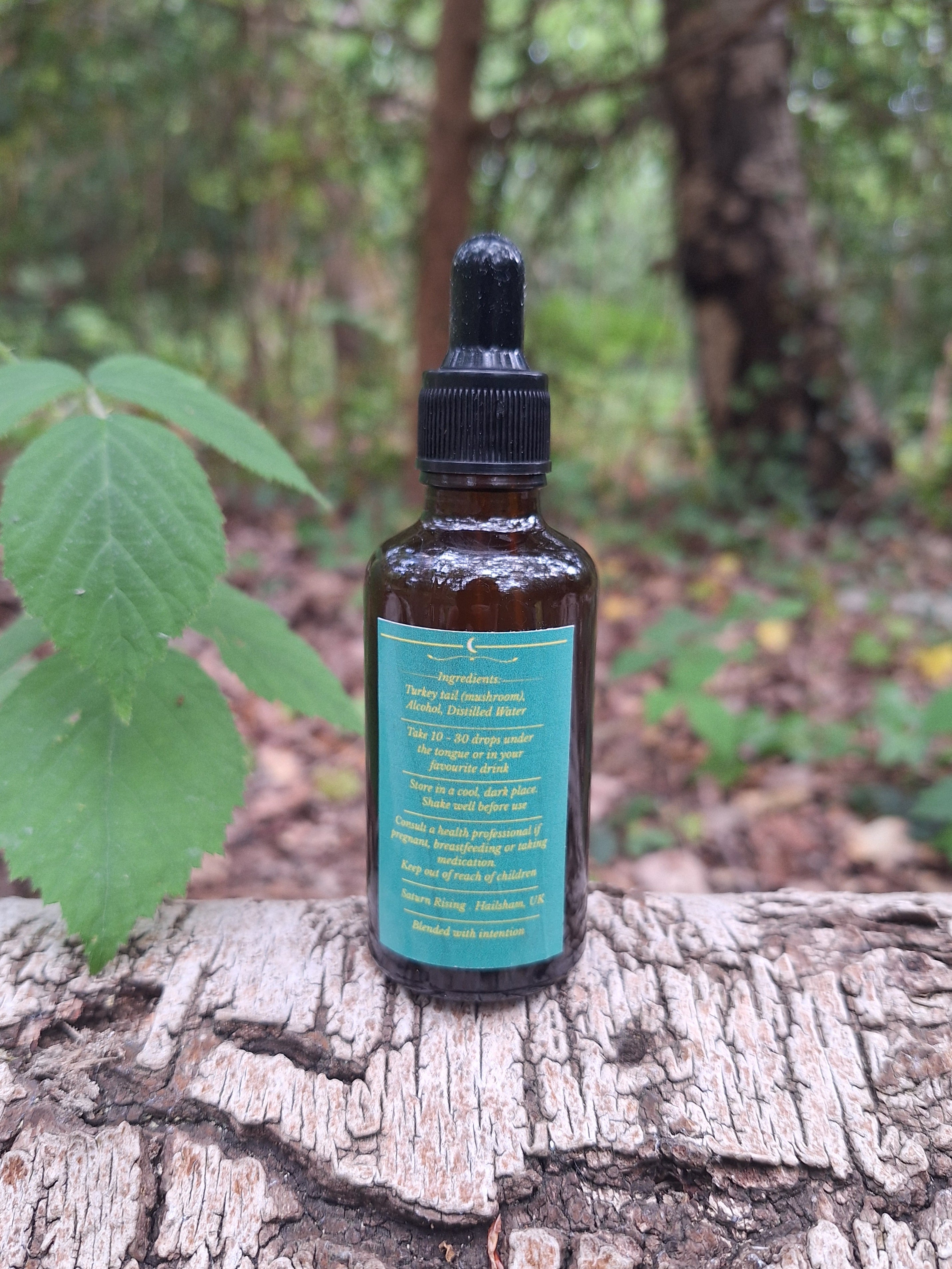 Turkey Tail Tincture 50ml