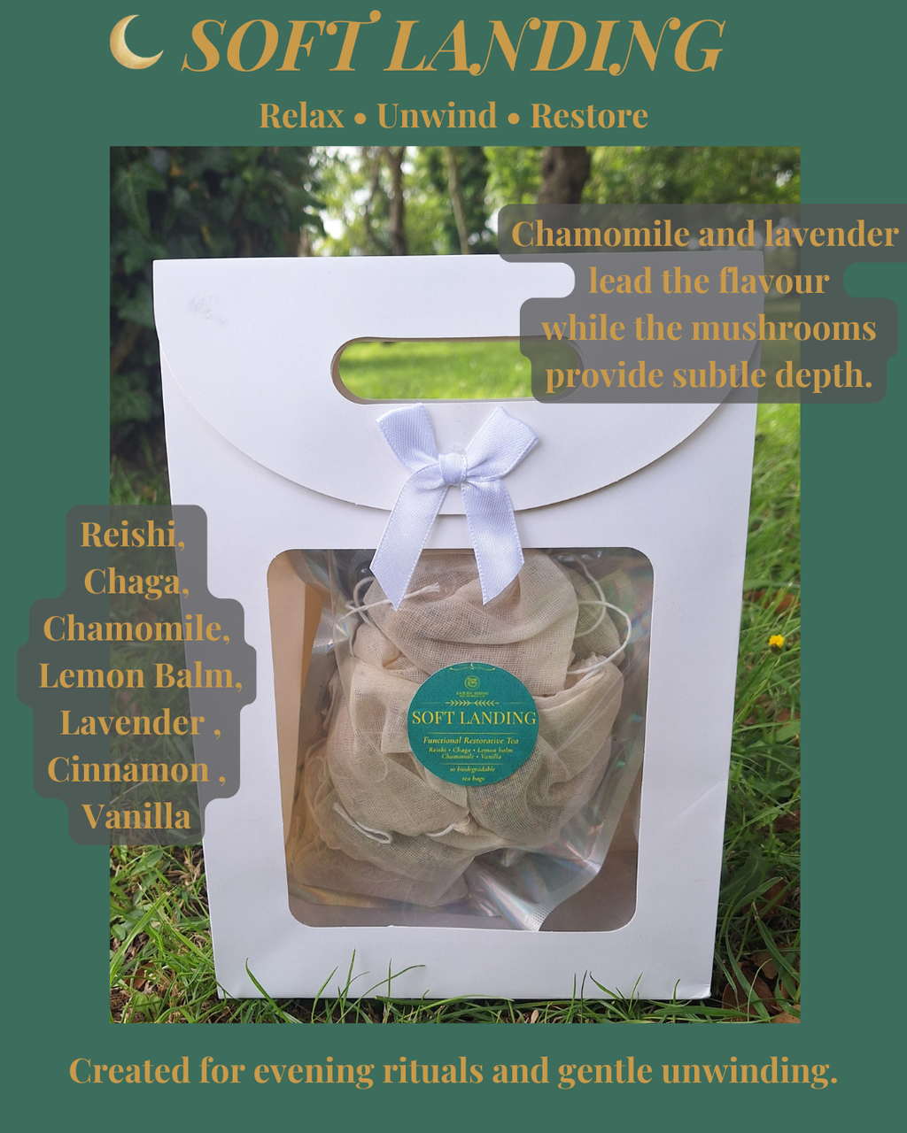 Soft Landing Mushroom Tea | Reishi Sleep & Calm Tea Blend