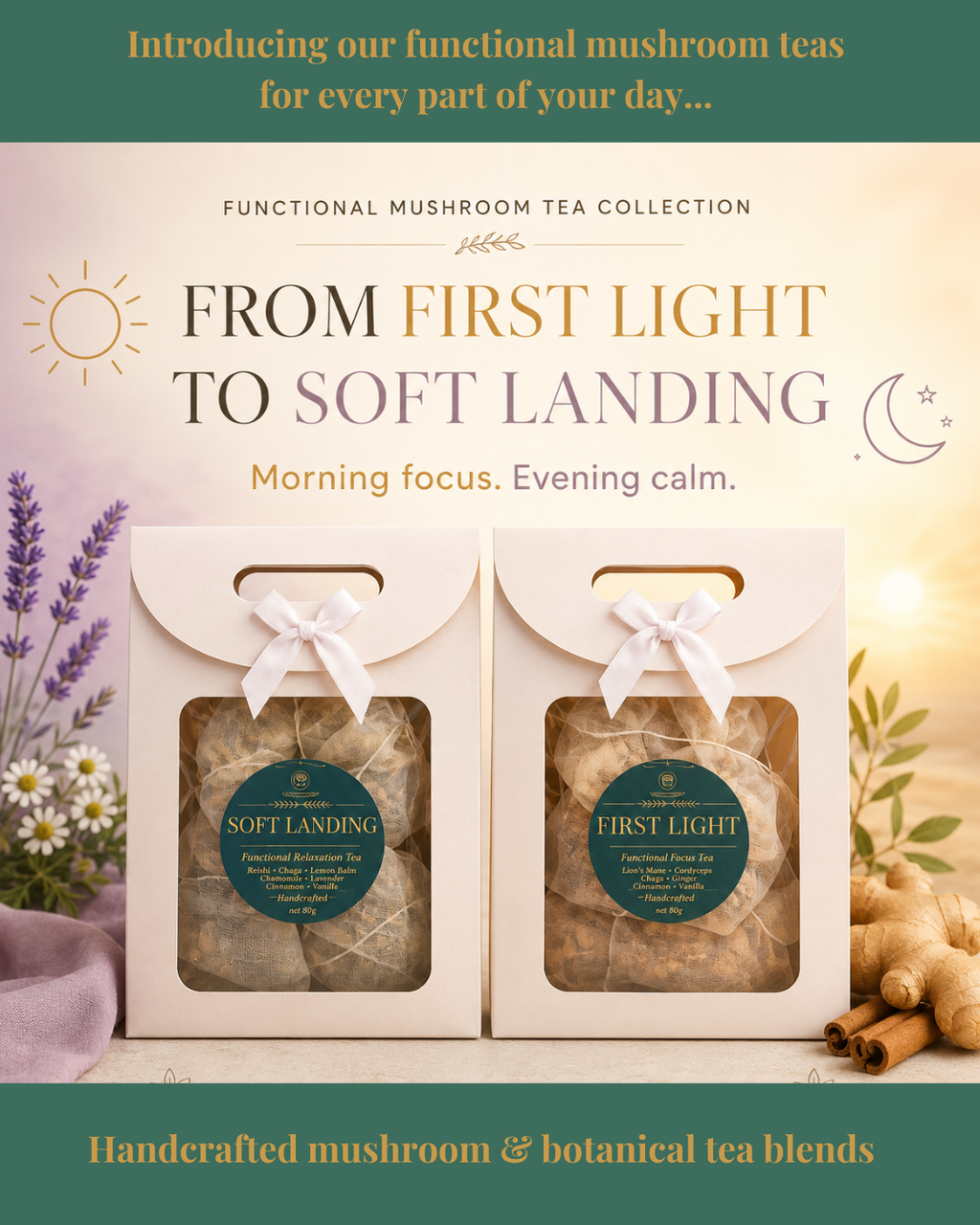 Soft Landing Mushroom Tea | Reishi Sleep & Calm Tea Blend