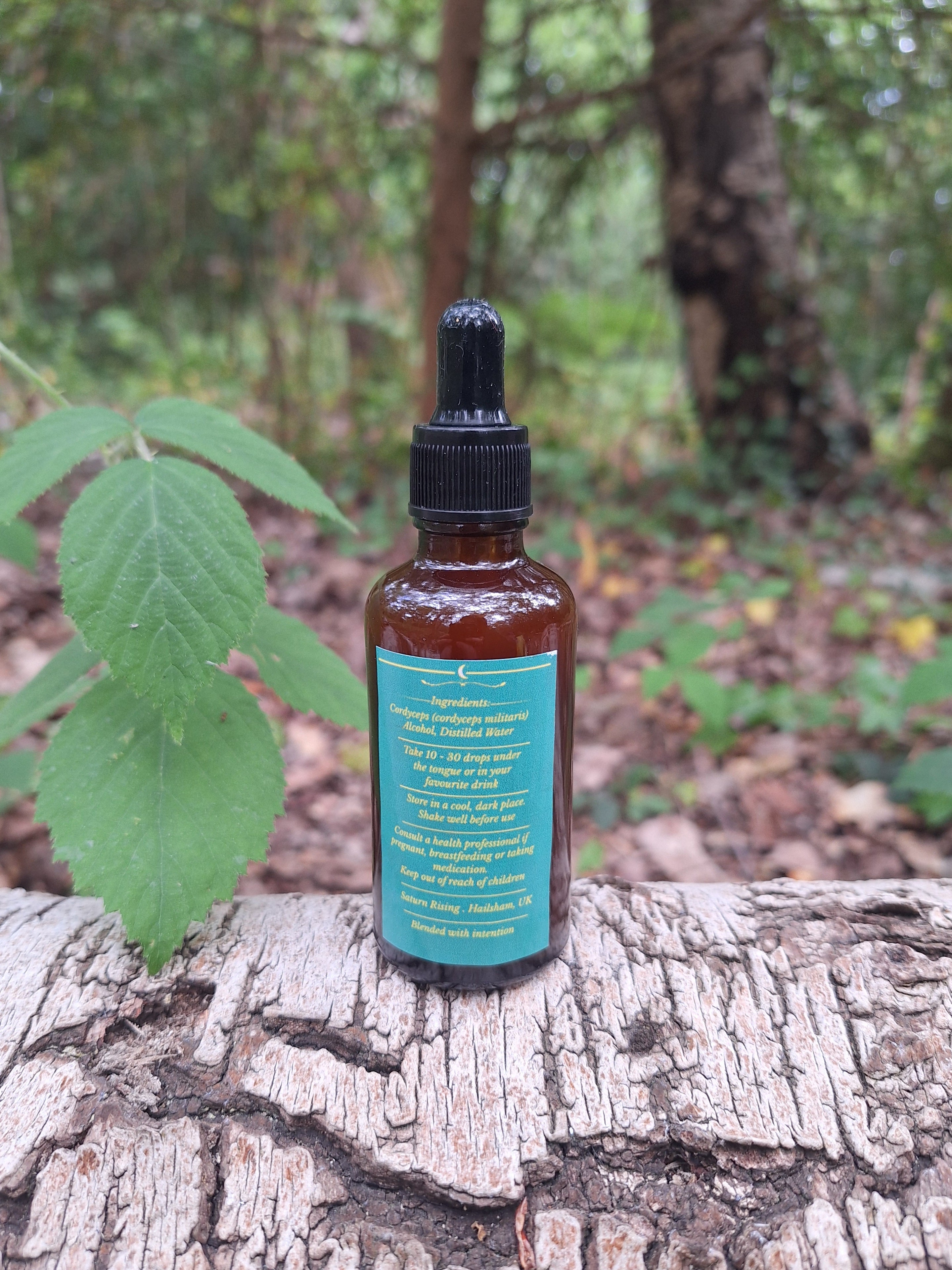Cordyceps Tincture 50ml