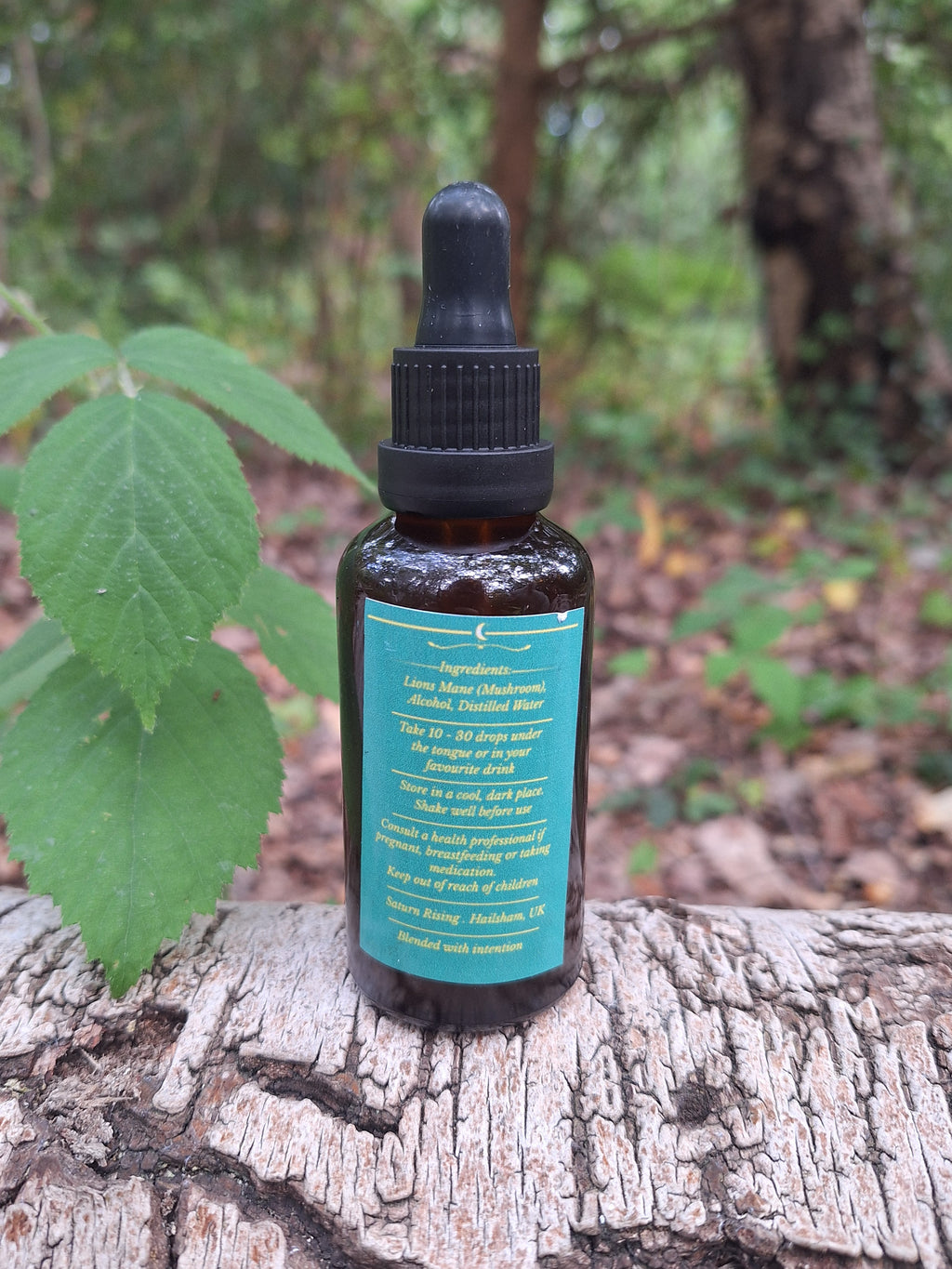 Lions Mane Tincture 50ml