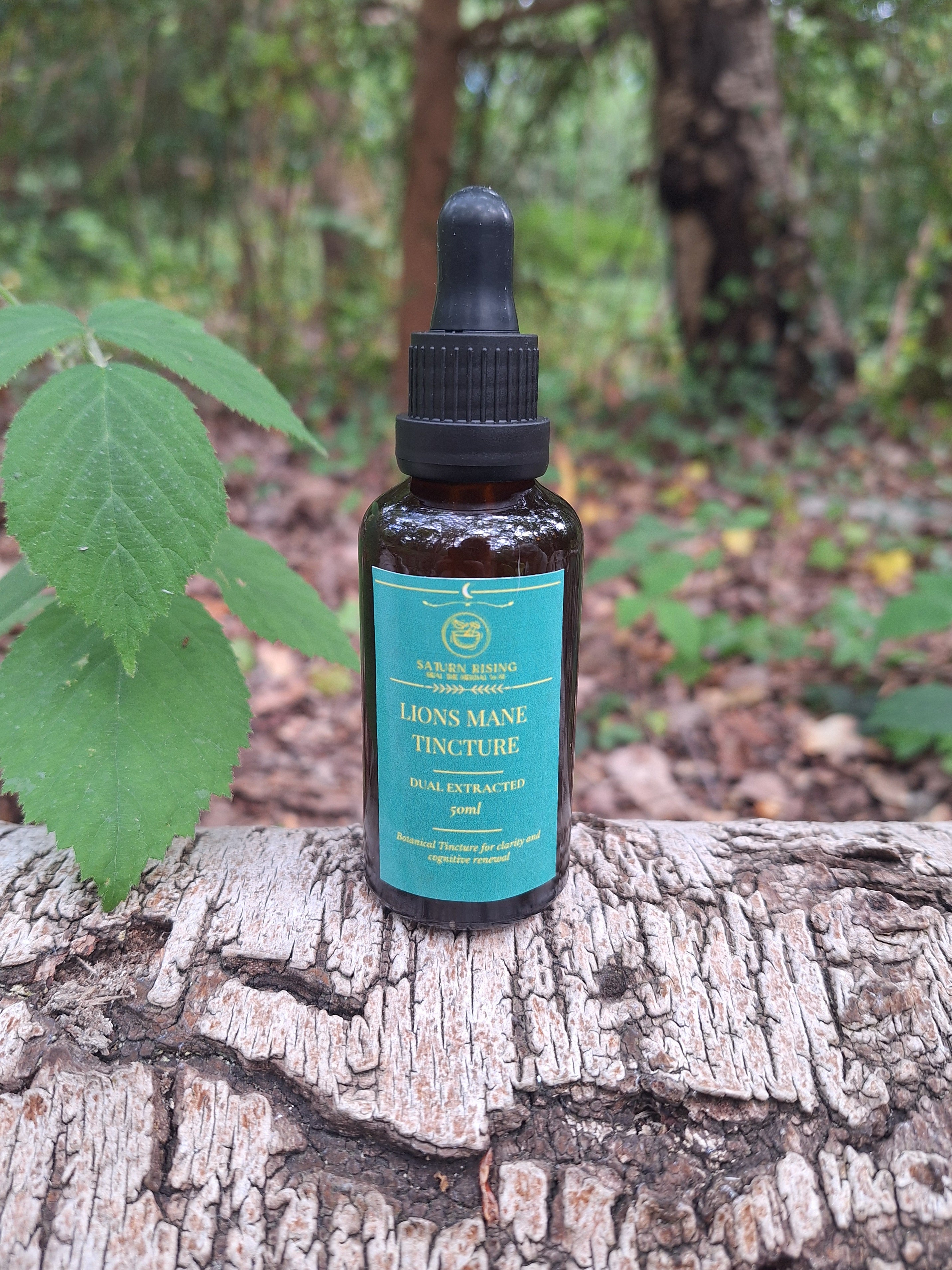 Lions Mane Tincture 50ml