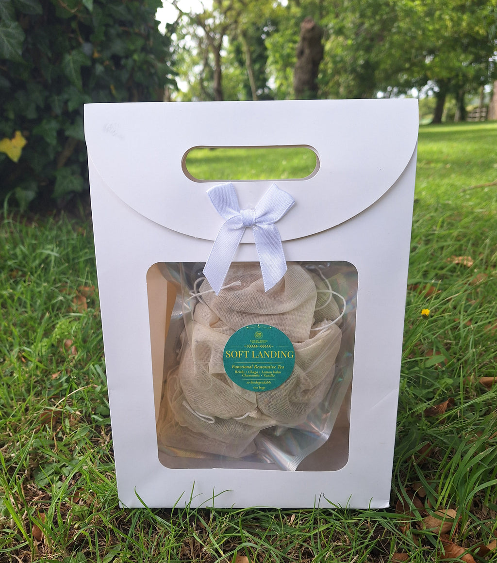 Soft Landing Mushroom Tea | Reishi Sleep & Calm Tea Blend